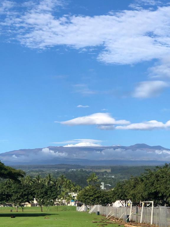 Hilo Downtown Condo Walk to Beaches - main image