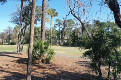 144 The Greens 1 BR Shipyard Golf Condo - image 9