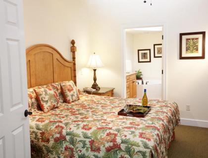 Convenient and Quiet Vacation Villa in Hilton Head - One Bedroom Villa #1 - image 7