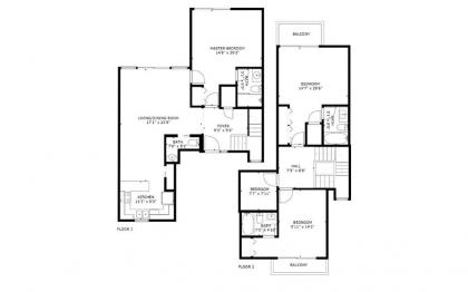 6 Water Oak - image 8
