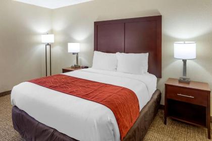 Comfort Inn Hoffman Estates – Schaumburg - image 9