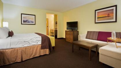 Best Western Plus Holland Inn & Suites - image 15