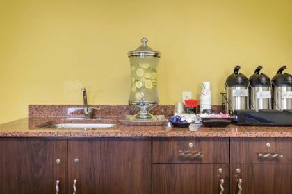 Best Western Plus Holland Inn & Suites - image 2
