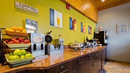 Best Western Plus Holland Inn & Suites - image 8
