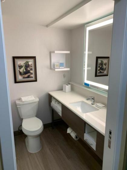 Hampton Inn Holland - image 3