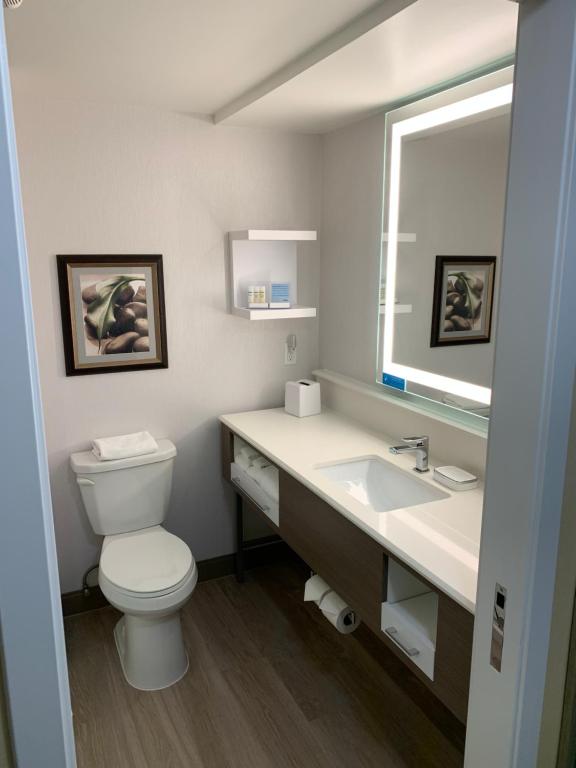 Hampton Inn Holland - image 3