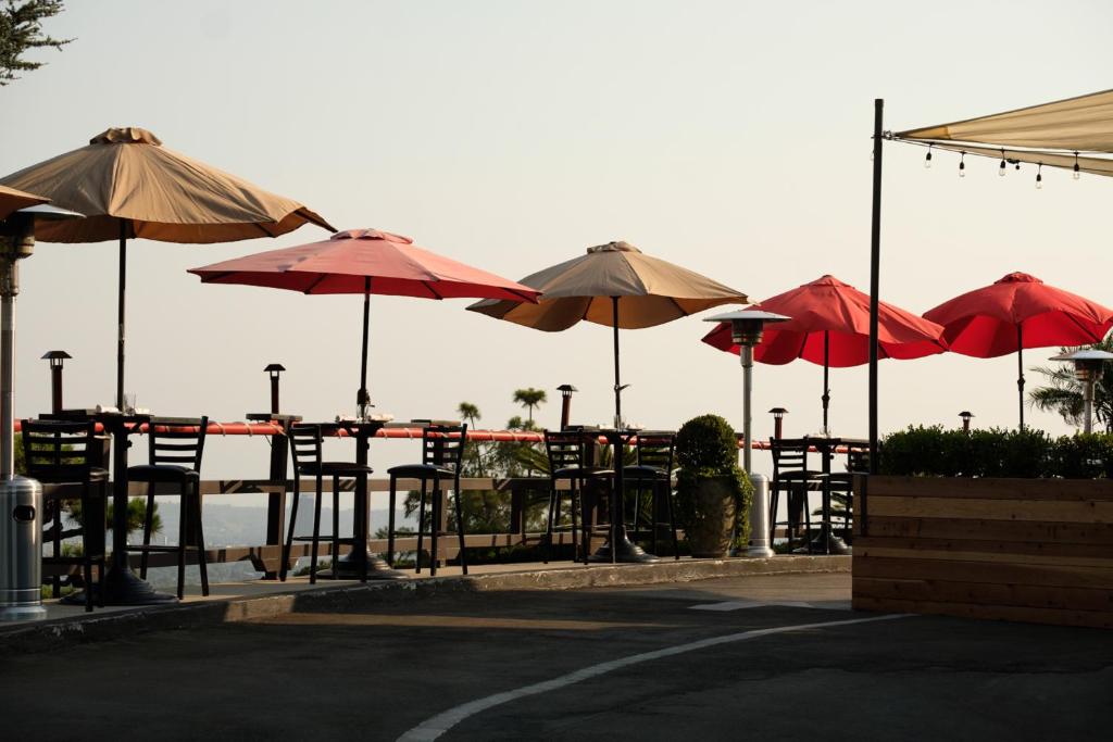 Hollywood Hills Hotel - image 4