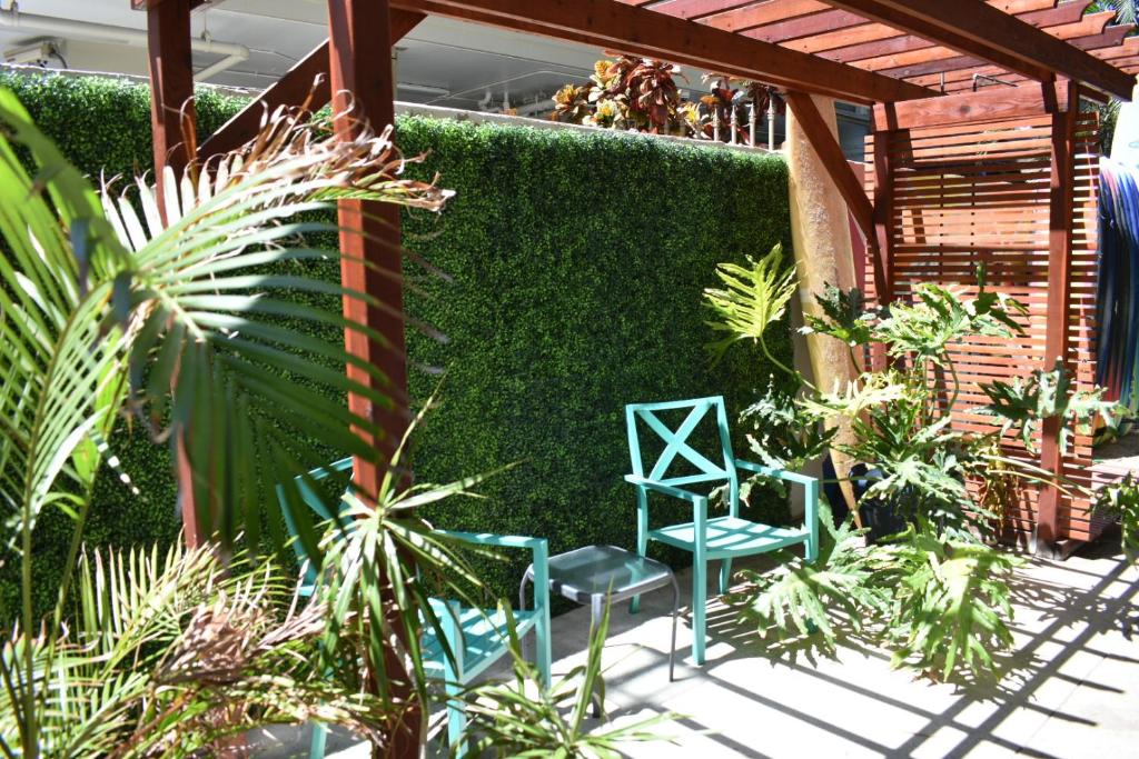 Polynesian Hostel Beach Club - main image