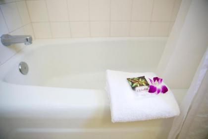 Waikiki Resort Hotel - image 5