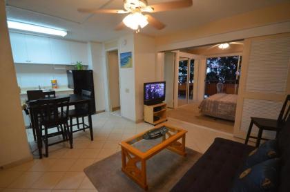 Hawaiian King 501 Studio Pool and BBQ Grill Sleeps 4 - image 3