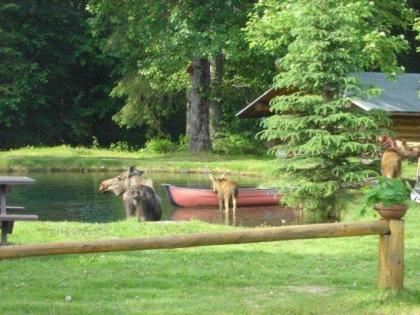 Bear Creek Lodge Alaska - image 11