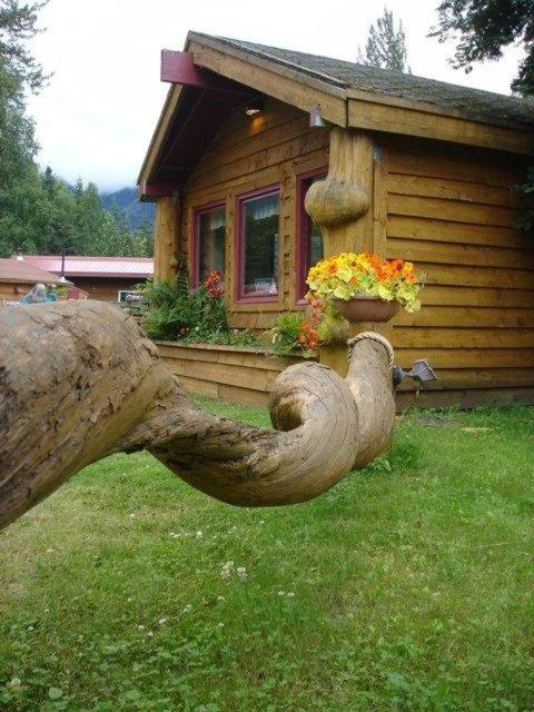 Bear Creek Lodge Alaska - image 3