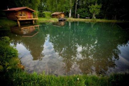 Bear Creek Lodge Alaska - image 4