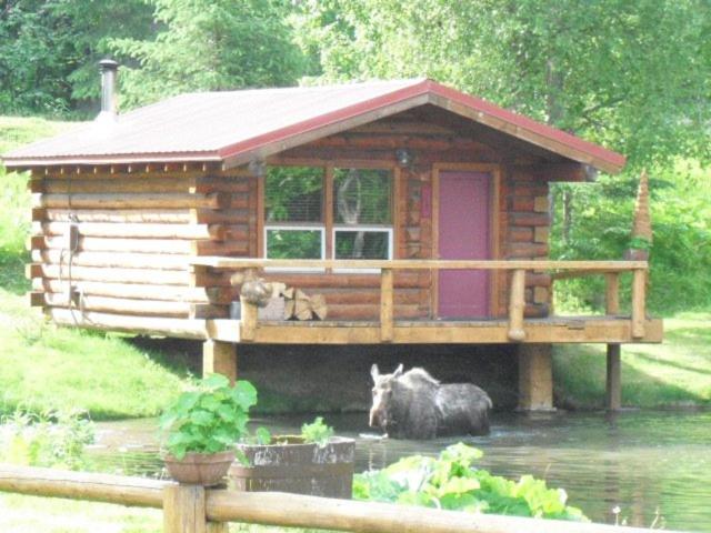 Bear Creek Lodge Alaska - image 5
