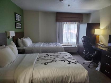 Sleep Inn Horn Lake-Southaven - image 10
