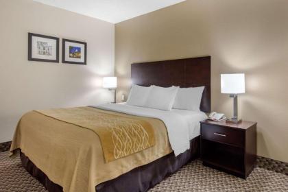 Comfort Inn Horn Lake - Southaven - image 5