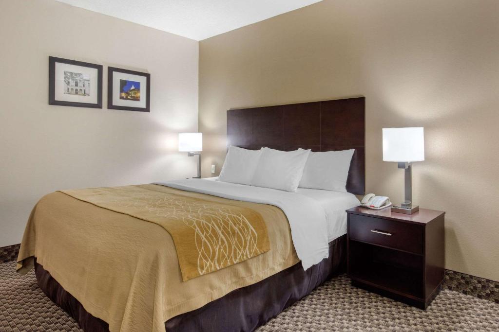 Comfort Inn Horn Lake - Southaven - image 5