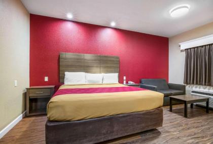 Econo Lodge Inn & Suites Horn Lake - image 15