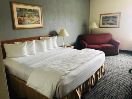 American Inn and Suites Houghton Lake - image 5