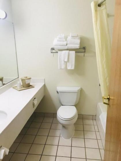 American Inn and Suites Houghton Lake - image 9