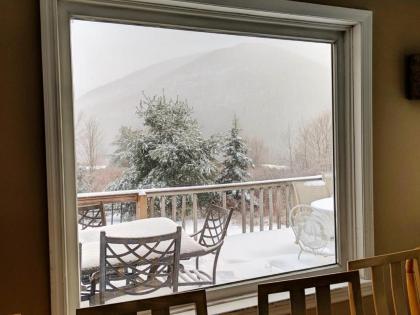Hunter Mt Amazing Views! near Ski Slopes! Beautiful Catskills! - image 5