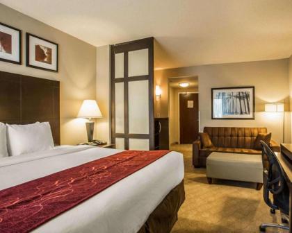 Comfort Suites Lake Norman - Huntersville - image 12