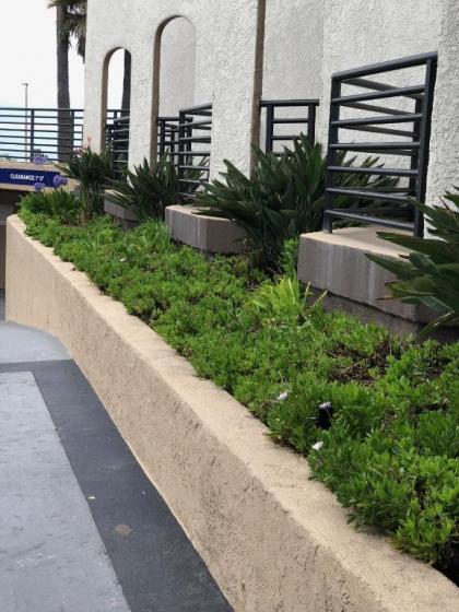 Huntington Beach Inn - image 6