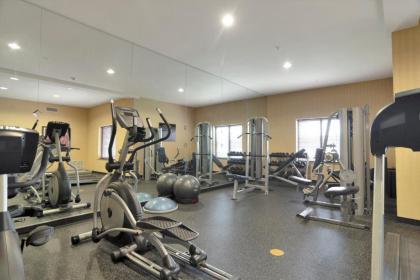 Holiday Inn Express Hotel & Suites DFW West - Hurst an IHG Hotel - image 9