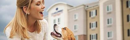 Candlewood Suites DFW West - Hurst an IHG Hotel - image 8