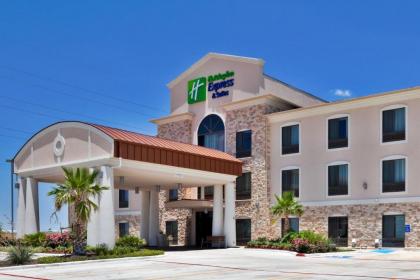 Holiday Inn Express Hotel & Suites Austin NE-Hutto an IHG Hotel - image 1