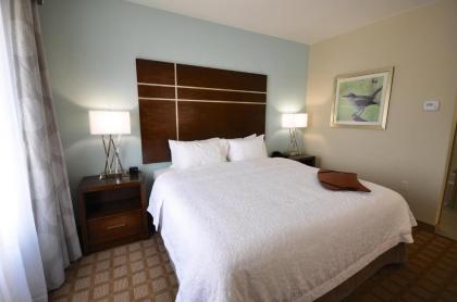 Hampton Inn and Suites Hutto - image 5