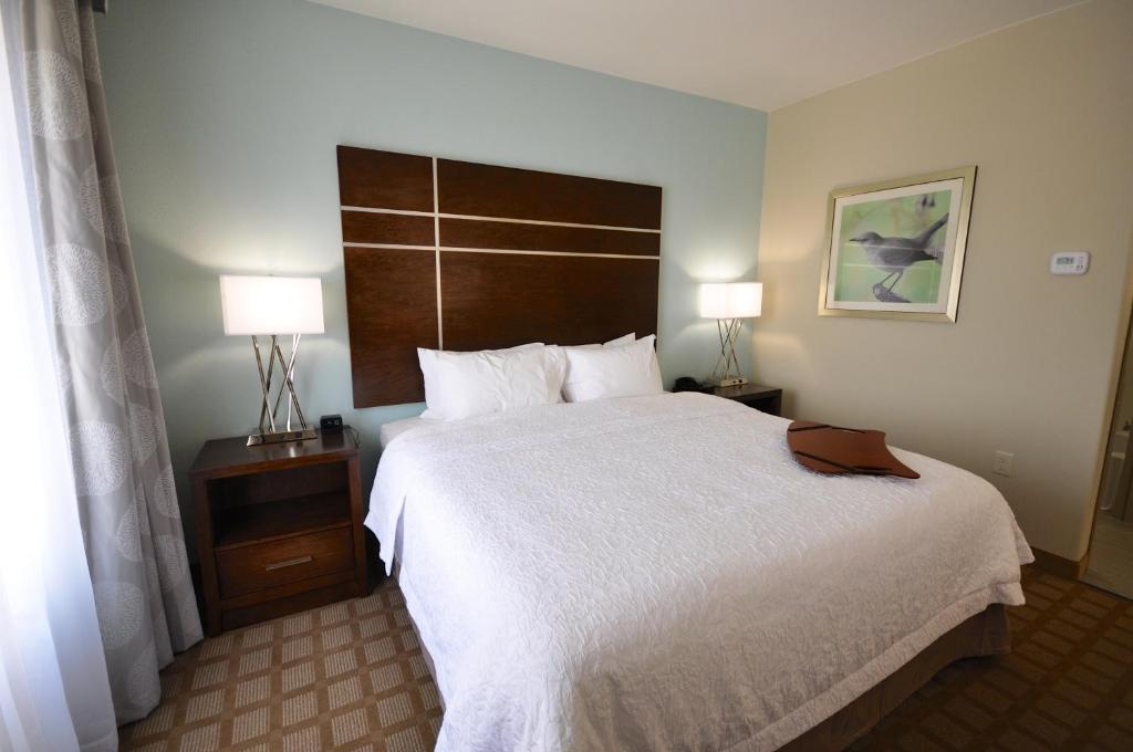 Hampton Inn and Suites Hutto - image 5