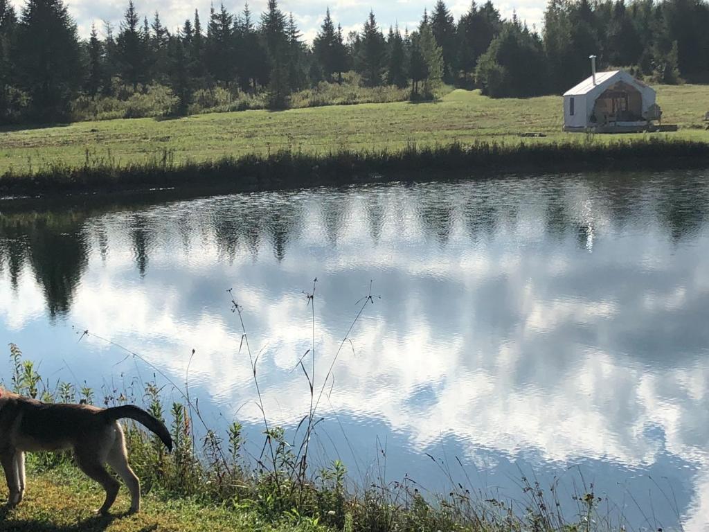 Tentrr - Belle Vista Farm - image 7