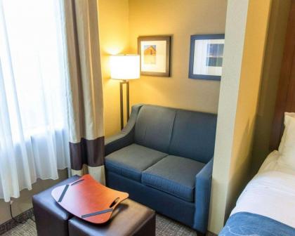 Comfort Suites Idabel - image 12