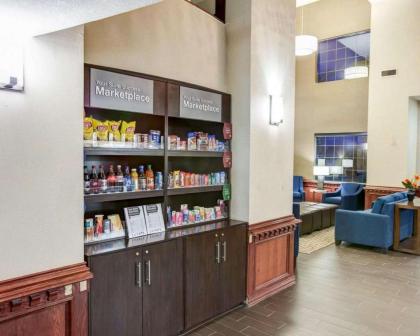 Comfort Suites Idabel - image 6