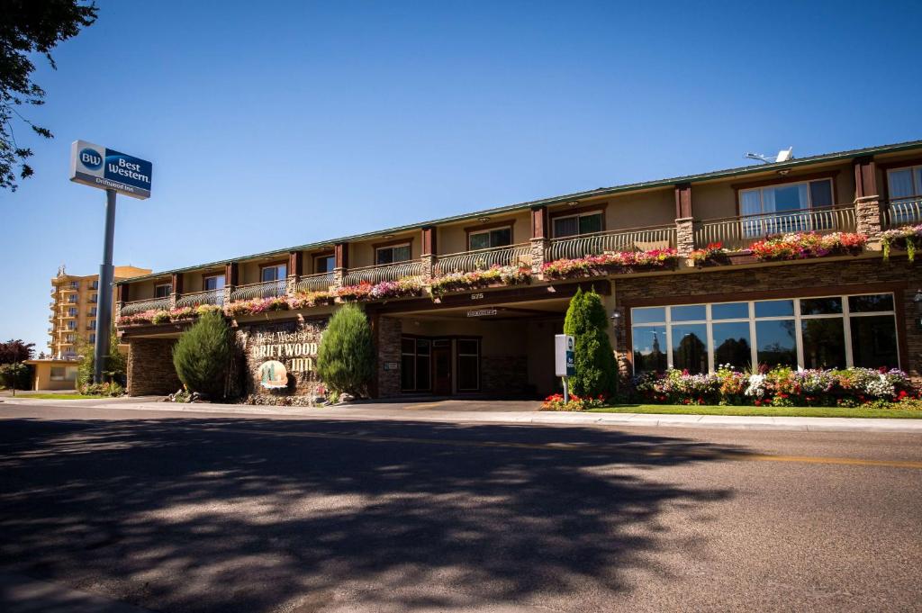 Best Western Driftwood Inn - main image