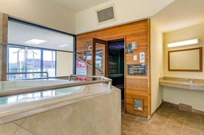 Rodeway Inn Idaho Falls - image 2