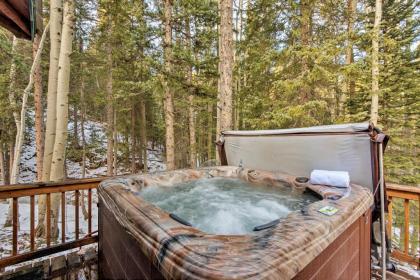 Idaho Springs Cabin with Hot Tub on half Acre! - image 10