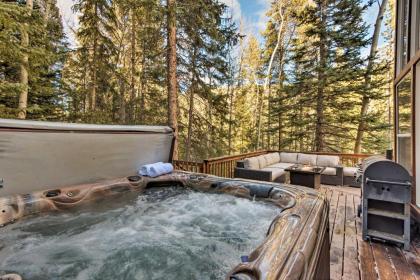 Idaho Springs Cabin with Hot Tub on half Acre! - image 12