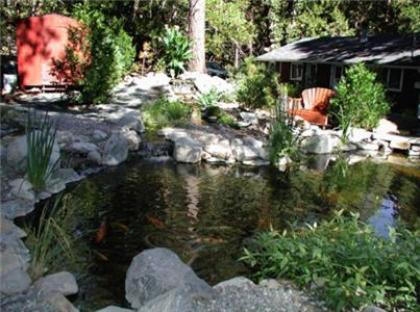 Silver Pines Lodge - image 5