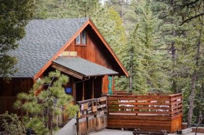 Idyllwild Camping Resort Cabin California