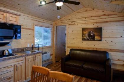 Idyllwild Camping Resort Cottage - image 4