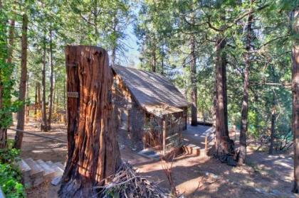 Holiday homes in Idyllwild California