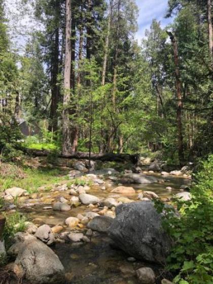 Almost Heaven: Hot Tub On the Creek Walk to Town