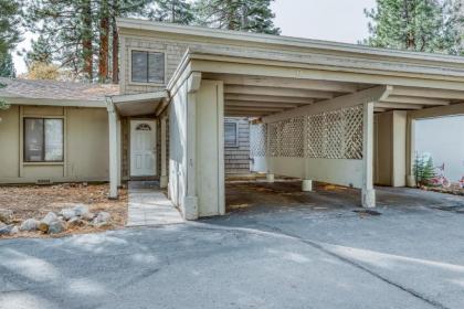 Village Dream - image 18