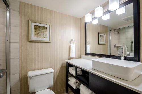 Embassy Suites Indianapolis North - image 5