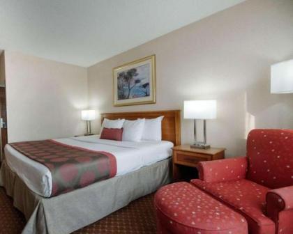 Rodeway Inn Indianapolis I-70 - image 4