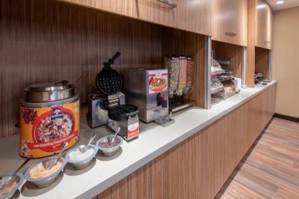 TownePlace Suites by Marriott Indianapolis Airport - image 8