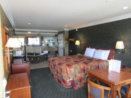 Crystal Inn Suites & Spas - image 4