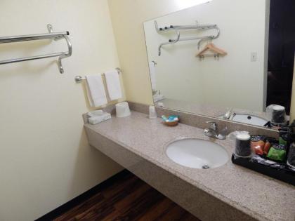 Regency Inn Iola - image 12